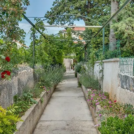 Rukonic Aleksandar Πανσιόν 3*