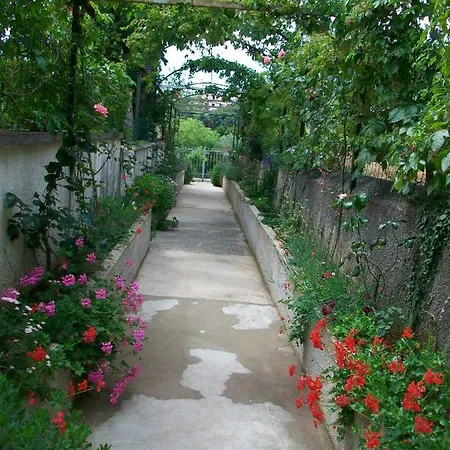 Rukonic Aleksandar 3* Nerezine