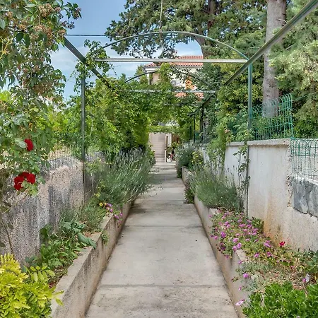 Rukonic Aleksandar Πανσιόν 3*