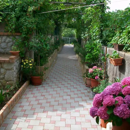 Rukonic Aleksandar Pensionat 3*