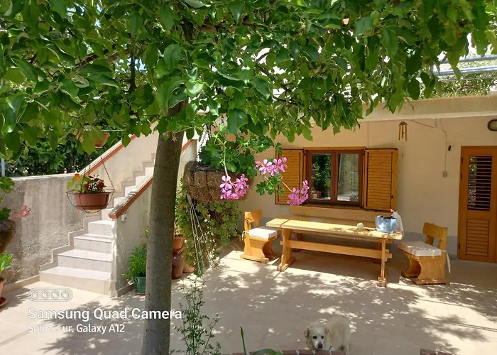 Rukonic Aleksandar Casa de hóspedes 3*