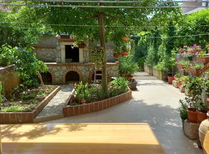 Rukonic Aleksandar 3*