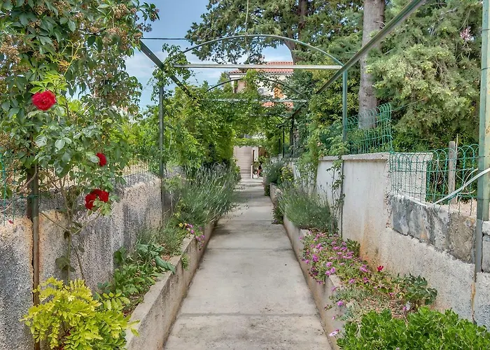 Rukonic Aleksandar Casa de hóspedes 3*