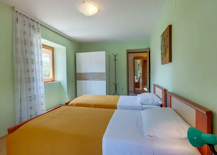 Rukonic Aleksandar 3*
