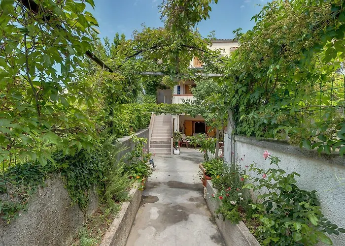 Casa de hóspedes Rukonic Aleksandar 3*
