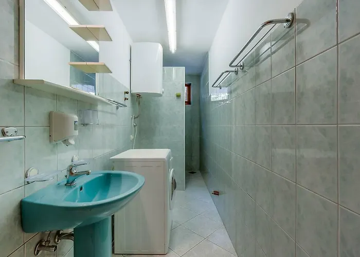 Rukonic Aleksandar 3*