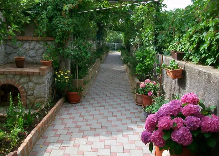 Rukonic Aleksandar Casa de hóspedes 3*