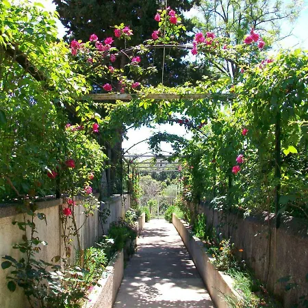 Rukonic Aleksandar 3*